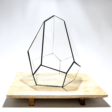 Geometric Terrarium - Jungle Gem - Vivarium - ↑ 16 x 15 x 19,5 cm (LxWxH) - Glas