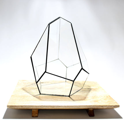 Geometrisches Terrarium - Jungle Gem - Vivarium - ↑ 16 x 15 x 19,5 cm (LxBxH) - Glas