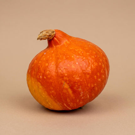 Hokkaido-Kürbis - Rot/Orange - Echt - Ø 17 cm - 1,5 kg