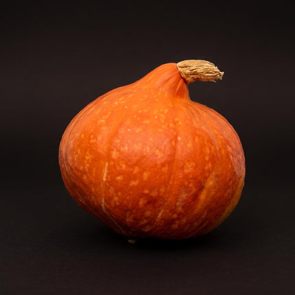 Hokkaido-Kürbis - Rot/Orange - Echt - Ø 17 cm - 1,5 kg