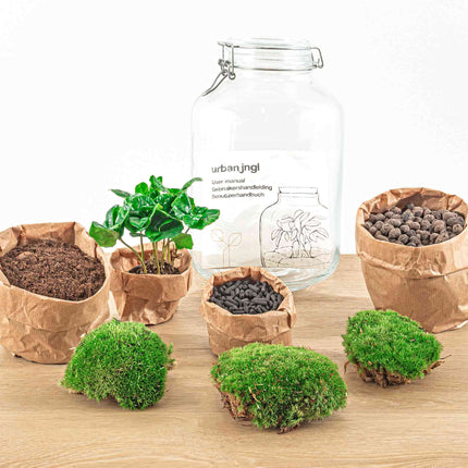 Jar Flaschengarten Paket - Ökosystem mit Pflanzen im Glas - ↑ 28 cm