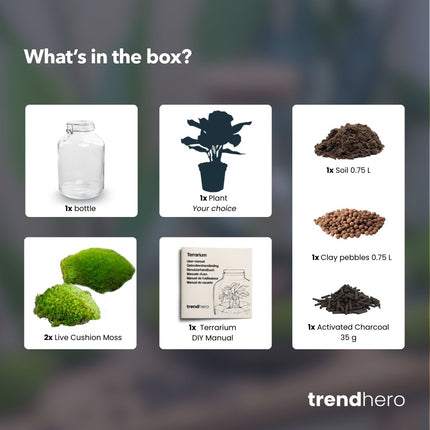 JAR - Terrarium Weckpot - Bottle garden DIY kit - Ø 18 cm ↑ 28 cm