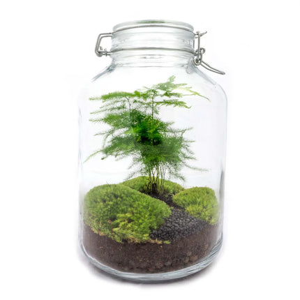 JAR - Terrarium Weckpot - Bottle garden DIY kit - Ø 18 cm ↑ 28 cm