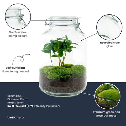 JAR - Terrarium Weckpot - Bottle garden DIY kit - Ø 18 cm ↑ 28 cm