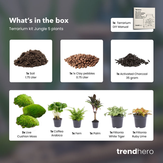 Jungle 5 - DIY Flaschengarten Starter- & Nachfüllset mit 5 Terrarienpflanzen
