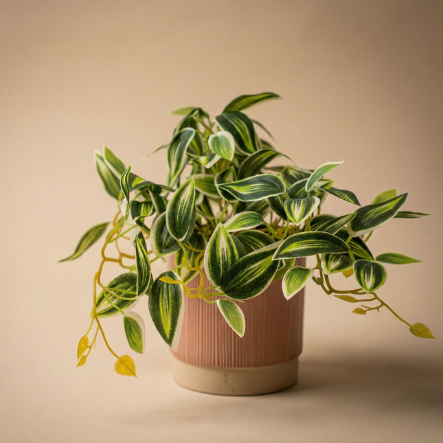 Tradescantia Grün/Weiß im Topf - 19 cm - Kunstpflanze