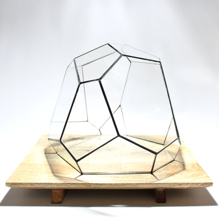 Geometric Terrarium - Terra - Vivarium - ↑ 28 x 26 x 24 cm (LxWxH) - Glas