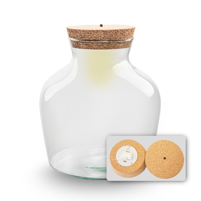 Terrarium Flasche ‘Little Joe’ - inkl. LED-Korken - Geschlossenes Terrarium Ø 20 cm ↑ 22 cm
