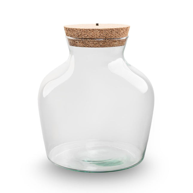 Terrarium Flasche ‘Little Joe’ - inkl. LED-Korken - Geschlossenes Terrarium Ø 20 cm ↑ 22 cm

