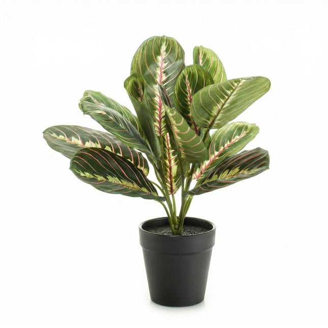 Maranta Bush im Topf - Kunstpflanze - 30 cm