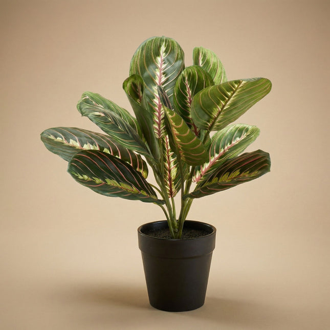 Maranta Bush im Topf - Kunstpflanze - 30 cm