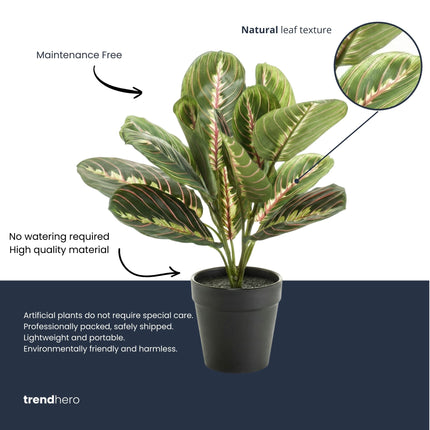 Maranta Bush im Topf - Kunstpflanze - 30 cm