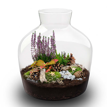 Mistle - Winter Terrarium – Flaschengarten DIY-Set – Ø 29 cm ↑ 30 cm