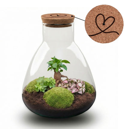 'LOVE MOM' Terrarium Sam + gravierter Kork mit Licht - Flaschengarten DIY Set - Ø 24.5 cm ↑ 30 cm - Muttertag