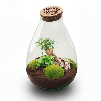 'LOVE MOM' terrarium Drop XL + gravierter Kork - Flaschengarten DIY Set – Ø 24 cm ↑ 37 cm -  Muttertag