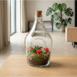Love in a Bottle - Flaschengarten mit Korken - DIY Open Terrarium mit Pflanzen im Glas - Ø 16 cm ↑ 30 cm