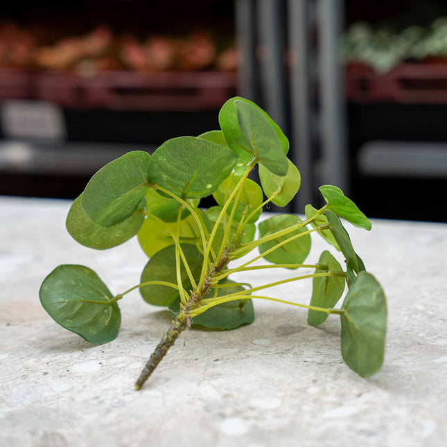 Pilea Mini Bush - Kunstpflanze - ↑ 15 cm