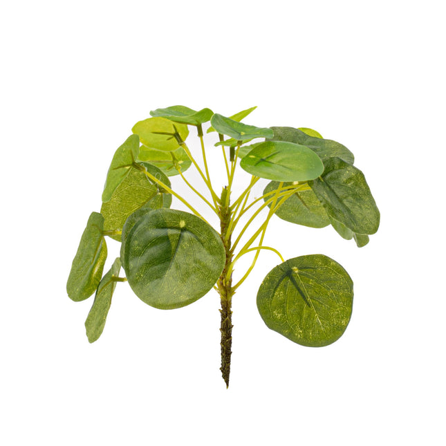Pilea Mini Bush - Kunstpflanze - ↑ 15 cm