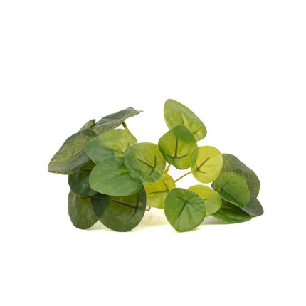 Pilea Mini Bush - Kunstpflanze - ↑ 15 cm