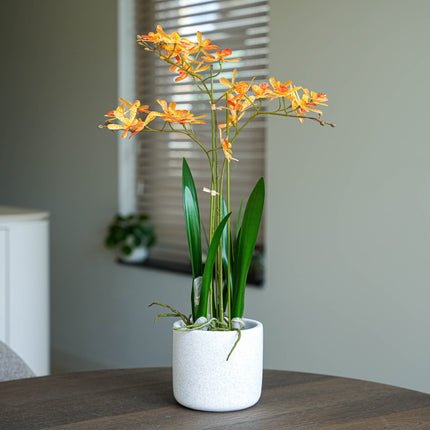 Renantera Orchid yellow/orange 2 pcs - Bundle product - Artificial plants
