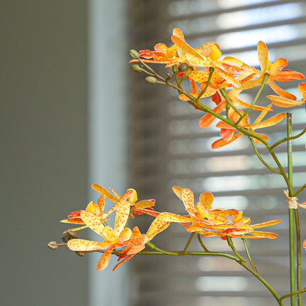 Renantera Orchid yellow/orange 2 pcs - Bundle product - Artificial plants