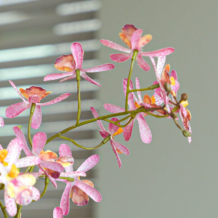 Renanthera Orchidee rosa 2er-Set - Bündelprodukt - Kunstpflanzen
