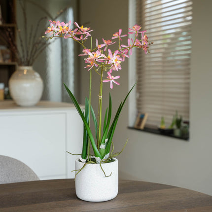 Renanthera Orchidee rosa 2er-Set - Bündelprodukt - Kunstpflanzen
