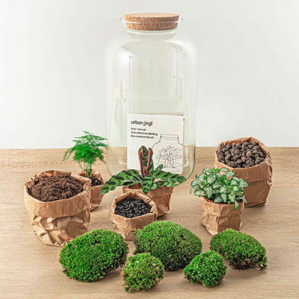 Terrarium DIY Kit - Botanical Sven XL - Bottle Garden - ↑ 43 cm