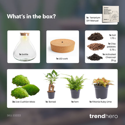 Sam XL Bonsai - Flaschengarten mit Licht - DIY Terrarium mit Pflanzen im Glas - Ø 30 cm ↑ 32 cm