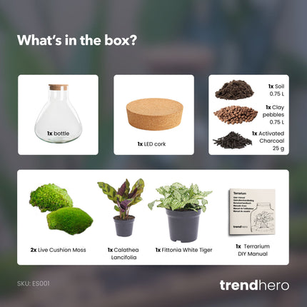 Sammie - Flaschengarten - DIY Terrarium mit Pflanzen im Glas - Ø 22,5 cm ↑ 27 cm