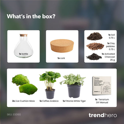Sammie - Terrarium - Bottle garden DIY kit - Ø 22,5 cm ↑ 27 cm