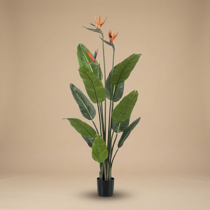 Strelitzia mit Blüten – 120 cm – In Schwarzem Topf – Künstliche Pflanze