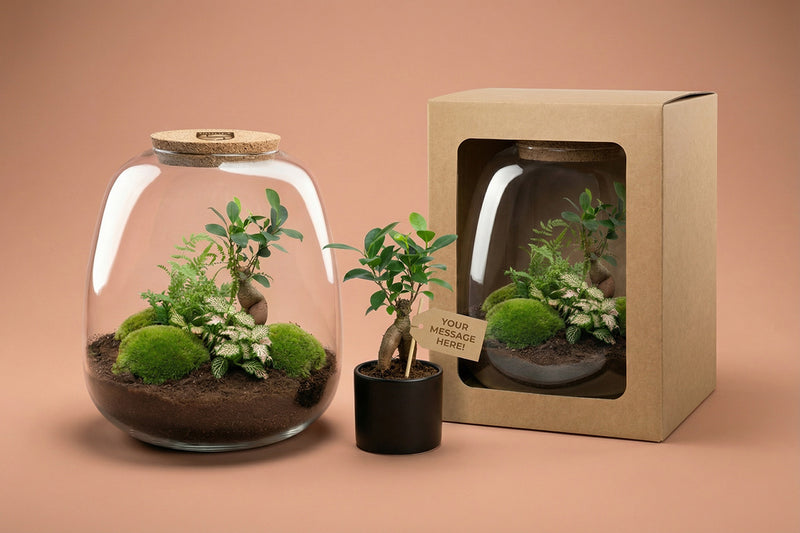 Plant terrarium with personalized logo on cork and personalized gift box for corporate gifts