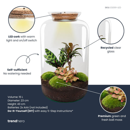 Sven XL Palme - Flaschengarten mit Licht - DIY Terrarium mit Pflanzen im Glas - Ø 23 cm ↑ 43 cm
