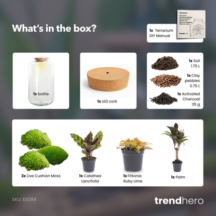 Sven XL Palme - Flaschengarten mit Licht - DIY Terrarium mit Pflanzen im Glas - Ø 23 cm ↑ 43 cm