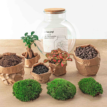 Kit DIY Terrario • Peluche • Ecosistema con plantas • ↑ 26,5 cm