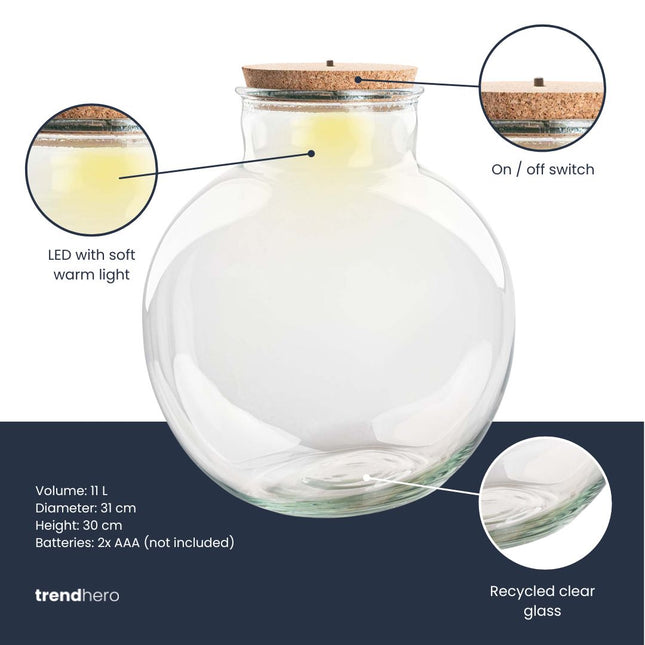 Terrarium Flasche ‘Teddy’ - inkl. LED Korken - Geschlossenes Terrarium mit Licht Ø 25 cm ↑ 26,5 cm