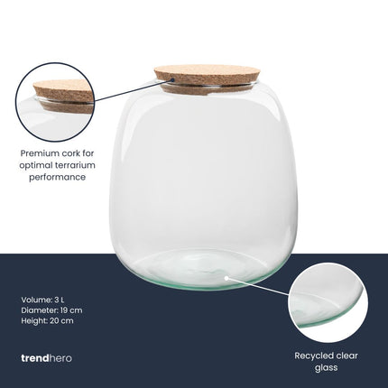 Terrarium Flasche ‘Emma Mini’ mit Korken - Geschlossenes Terrarium Ø 19 cm ↑ 20 cm