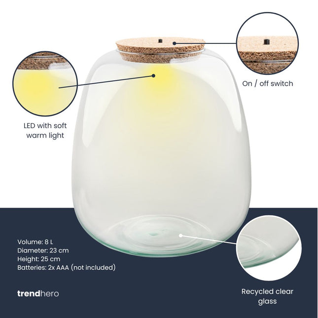 Terrarium Flasche ‘Emma’ - inkl. LED Korken - Geschlossenes Terrarium Ø 23 cm ↑ 25 cm