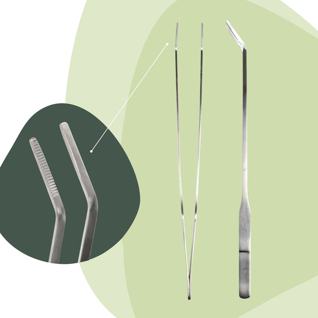 Extra long Terrarium tweezer - 26 cm - Stainless steel
