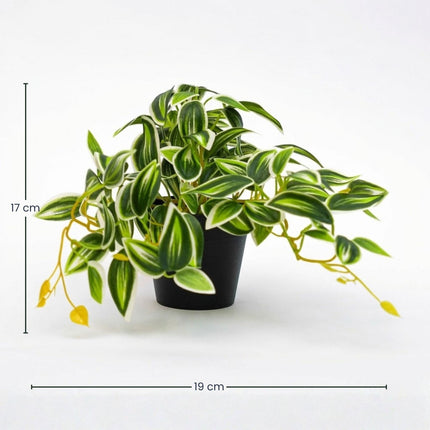 Tradescantia Grün/Weiß im Topf - 19 cm - Kunstpflanze
