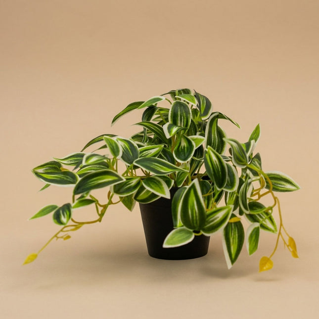Tradescantia Grün/Weiß im Topf - 19 cm - Kunstpflanze