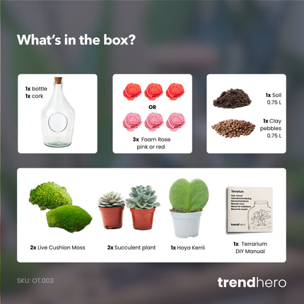 Love in a Bottle - Open terrarium with cork - Bottle garden DIY kit - Ø 16 cm ↑ 30 cm