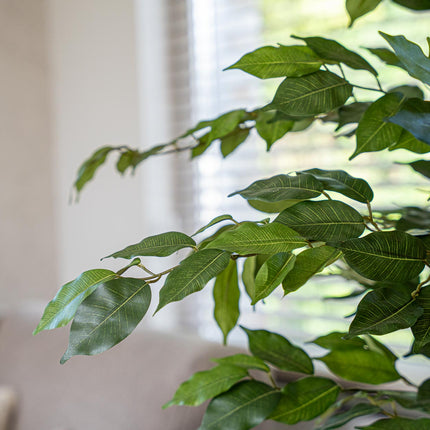 Ficus Liana Tree 140cm - Artificial Plant