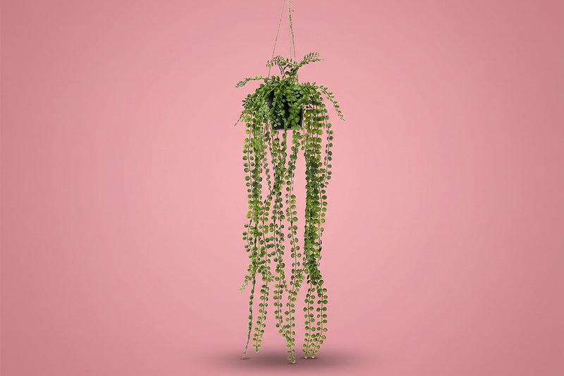 An artificial hanging plant in a basket 