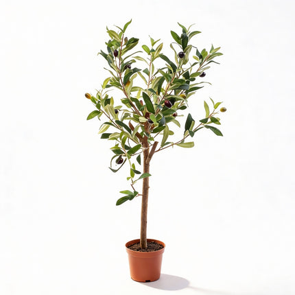 Olivenbaum Mini in Topf 65cm - Kunstpflanze