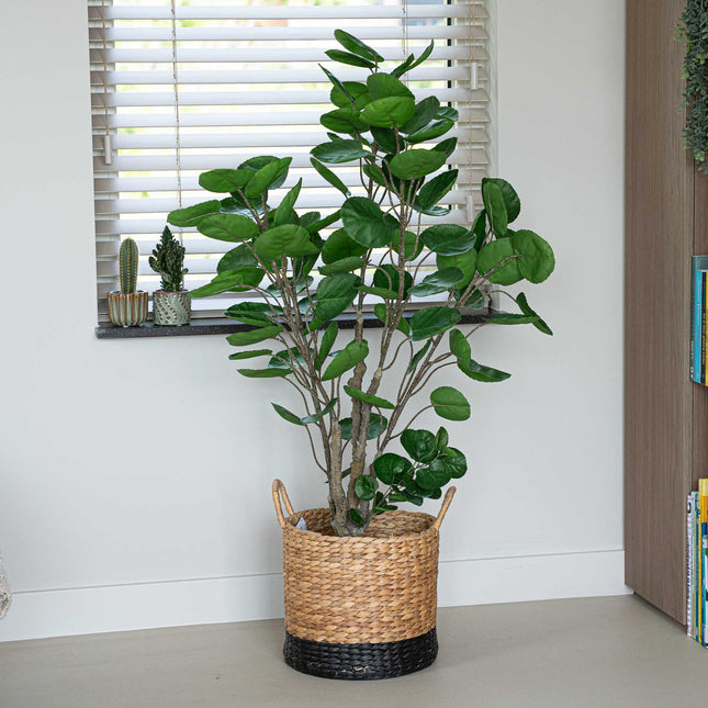 Polyscias tree - 105 cm - Artificial plant