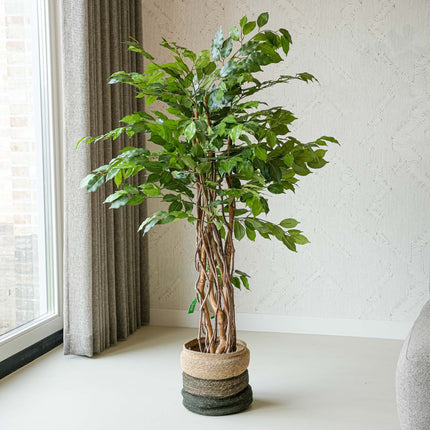 Ficus Liana Tree 140cm - Artificial Plant