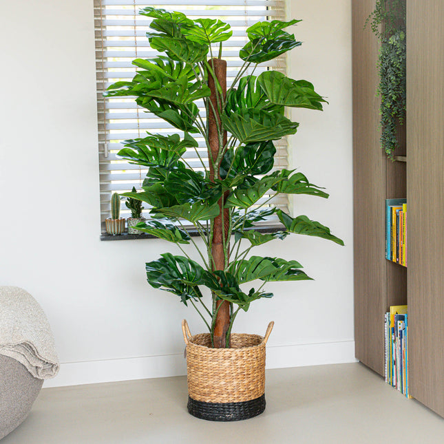 Monstera on pole 150 cm - Artificial plant