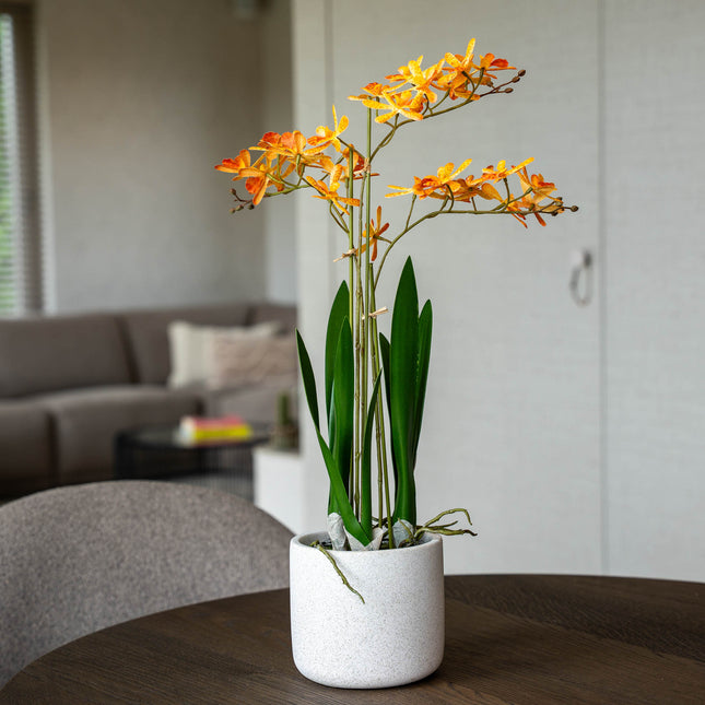 Renanthera Orchid Yellow & Orange in pot - 56 cm - Artificial plant